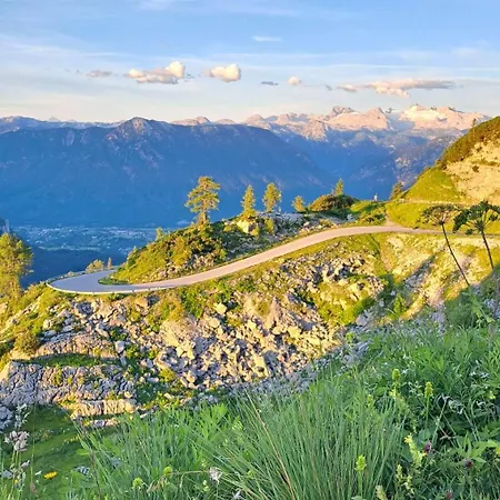 Angerer * Bad Mitterndorf