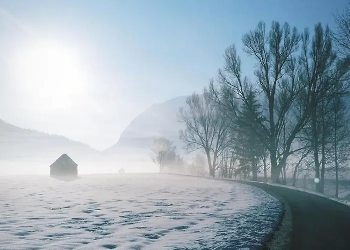 Angerer 홈스테이