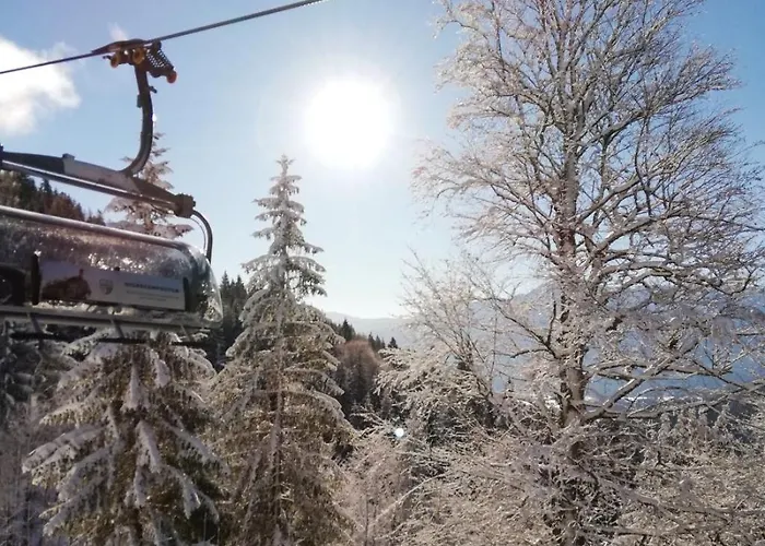 Angerer 홈스테이 바트 미테른도르프