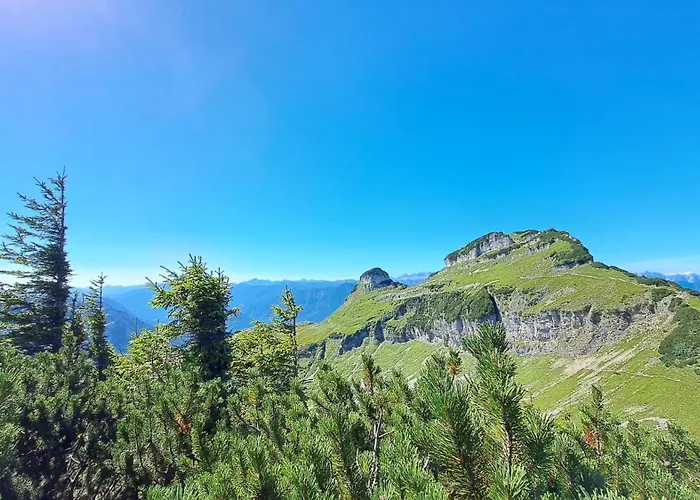 홈스테이 Angerer *