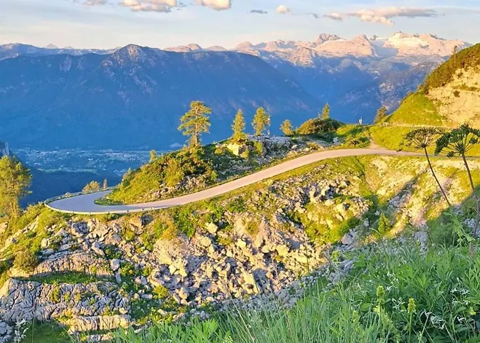 Angerer * 바트 미테른도르프